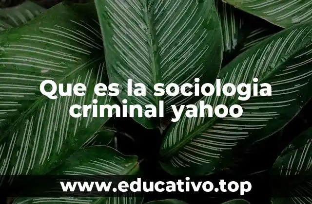 Que es la sociologia criminal yahoo