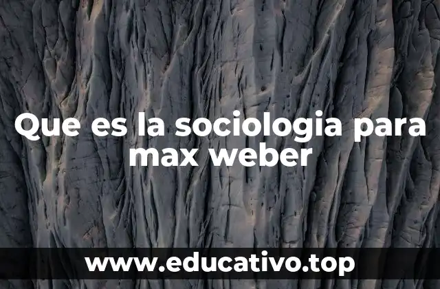Que es la sociologia para max weber