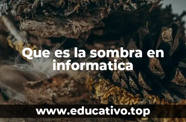 Que es la sombra en informatica
