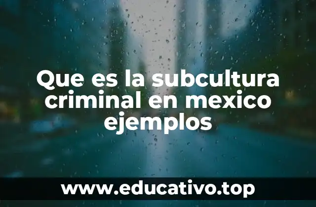 Que es la subcultura criminal en mexico ejemplos