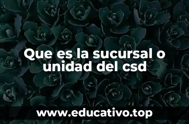 Que es la sucursal o unidad del csd