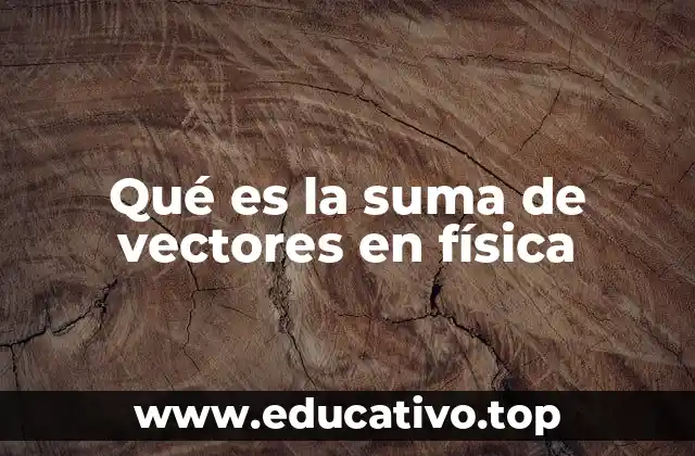 Qué es la suma de vectores en física