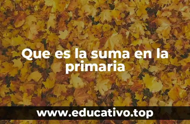 Que es la suma en la primaria