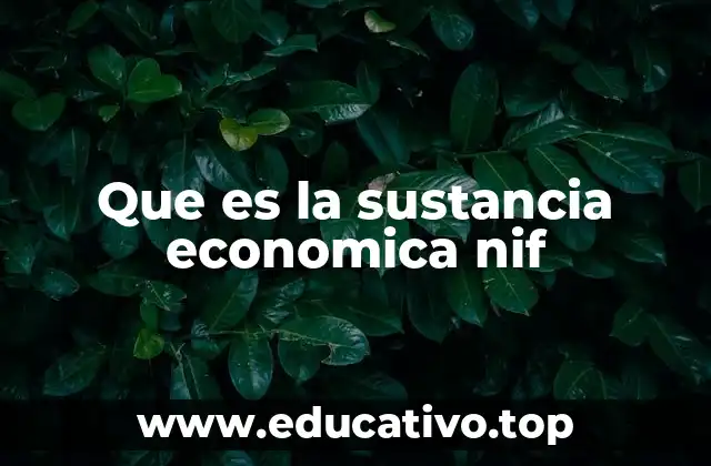 Que es la sustancia economica nif