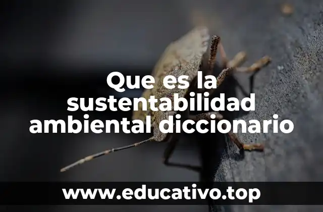 Que es la sustentabilidad ambiental diccionario