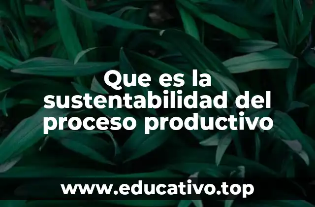 Que es la sustentabilidad del proceso productivo