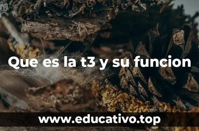 Que es la t3 y su funcion