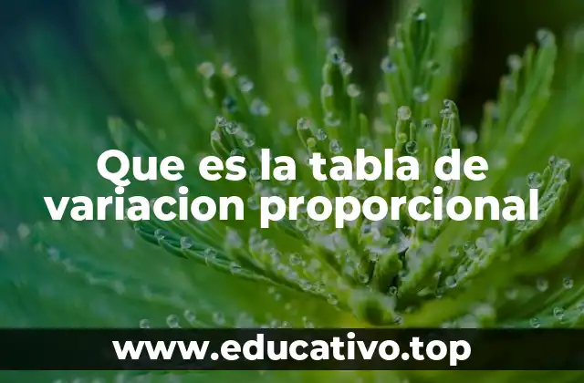 Que es la tabla de variacion proporcional