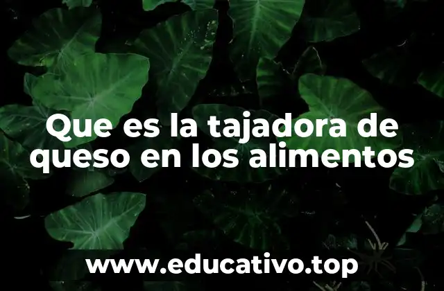 Que es la tajadora de queso en los alimentos
