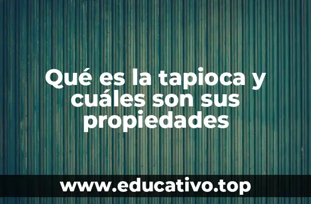 La historia detrás de la tapioca y su uso tradicional