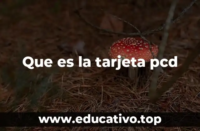 Que es la tarjeta pcd
