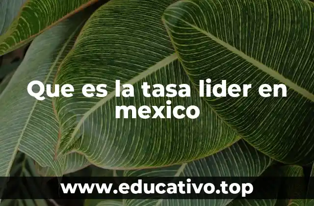 El papel de la tasa Líder en el mercado hipotecario