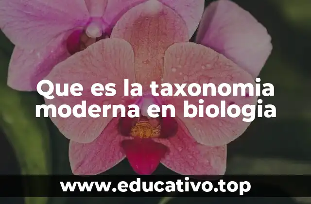 Que es la taxonomia moderna en biologia