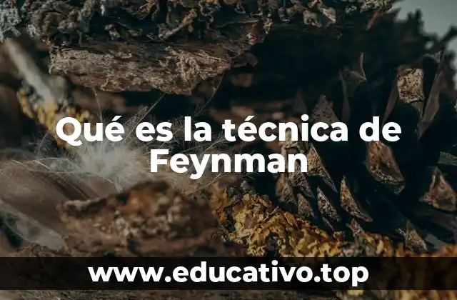Qué es la técnica de Feynman