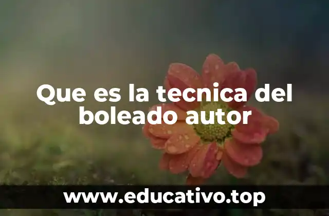 Que es la tecnica del boleado autor
