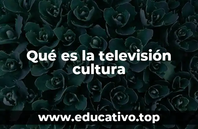 Qué es la televisión cultura