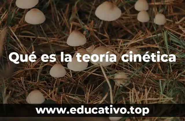 La base física de la teoría cinética