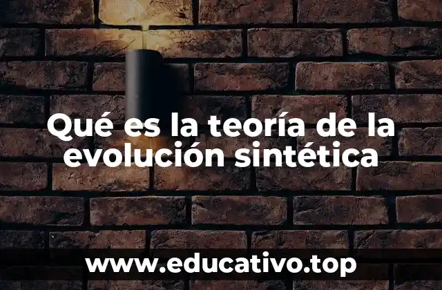Qué es la teoría de la evolución sintética