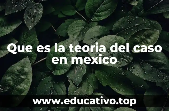 Que es la teoria del caso en mexico