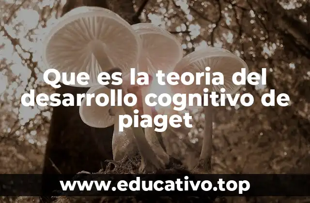Que es la teoria del desarrollo cognitivo de piaget