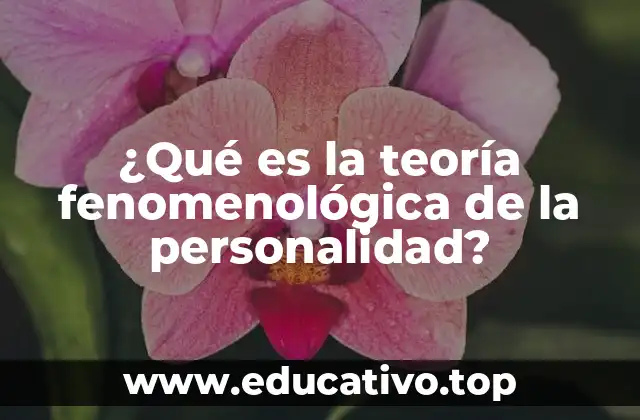 ¿Qué es la teoría fenomenológica de la personalidad?