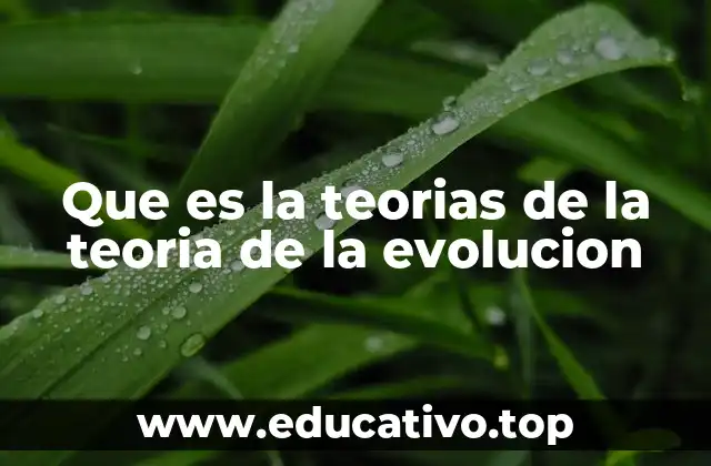 Que es la teorias de la teoria de la evolucion