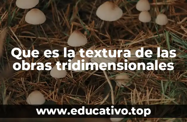 La importancia de la superficie en el arte tridimensional