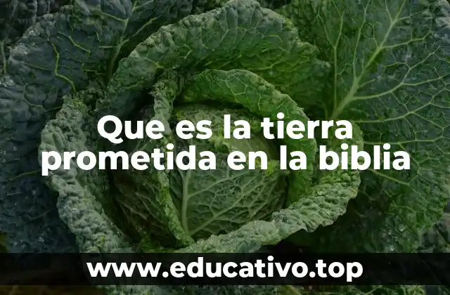 El viaje hacia la tierra prometida en la narrativa bíblica