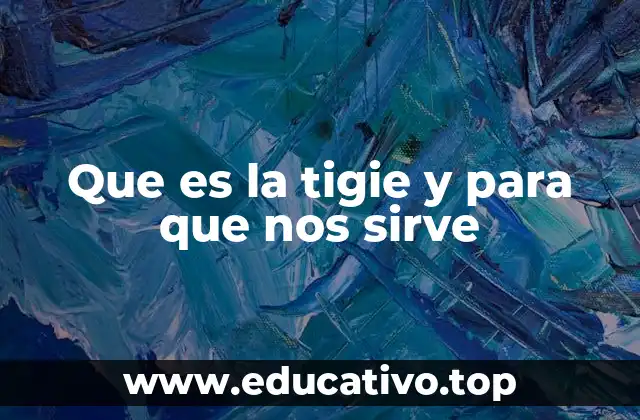 Que es la tigie y para que nos sirve