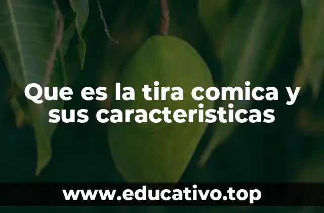 Que es la tira comica y sus caracteristicas