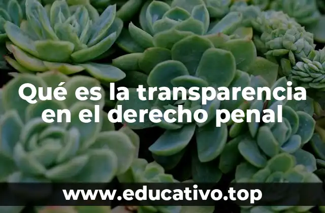 Qué es la transparencia en el derecho penal