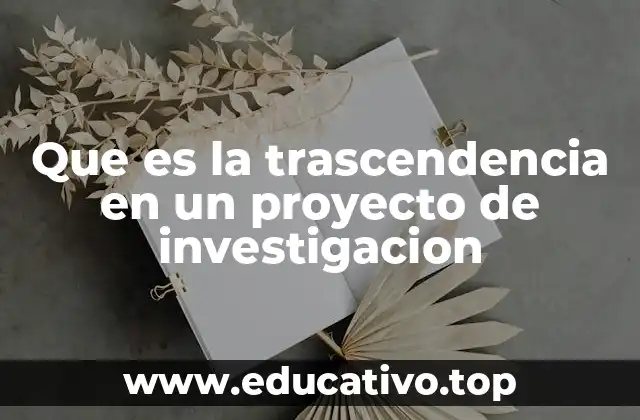 Que es la trascendencia en un proyecto de investigacion