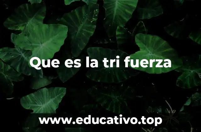 La Tri Fuerza como símbolo de equilibrio y justicia
