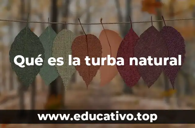 Qué es la turba natural