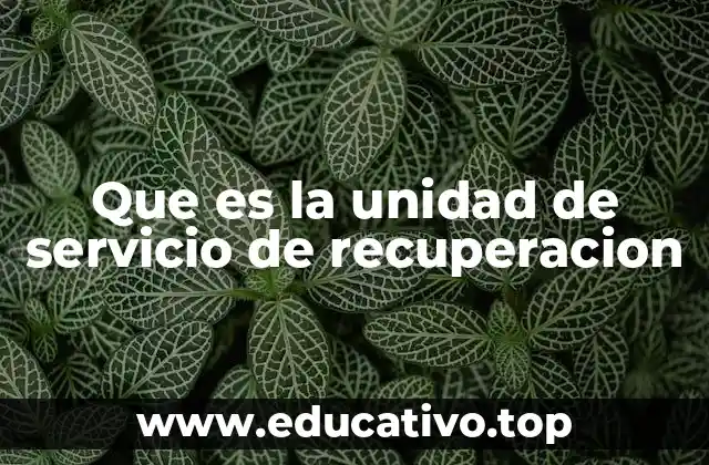 Que es la unidad de servicio de recuperacion