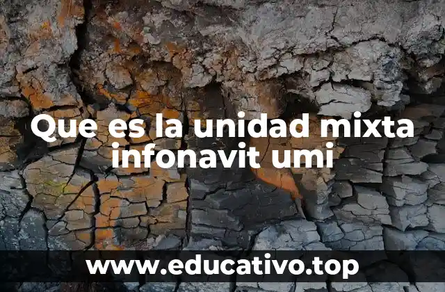 Que es la unidad mixta infonavit umi
