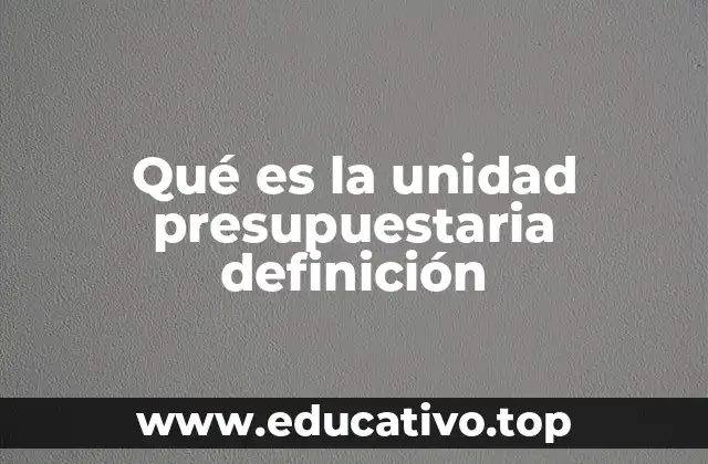 Qué es la unidad presupuestaria definición