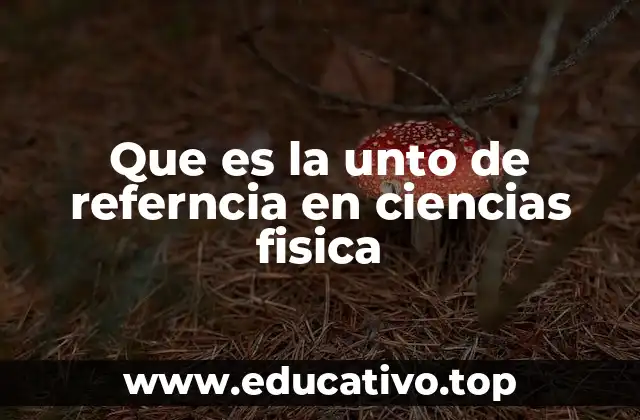 Que es la unto de referncia en ciencias fisica