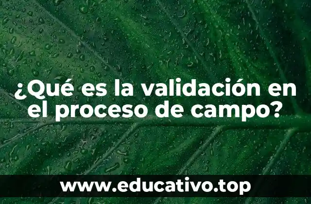 ¿Qué es la validación en el proceso de campo?