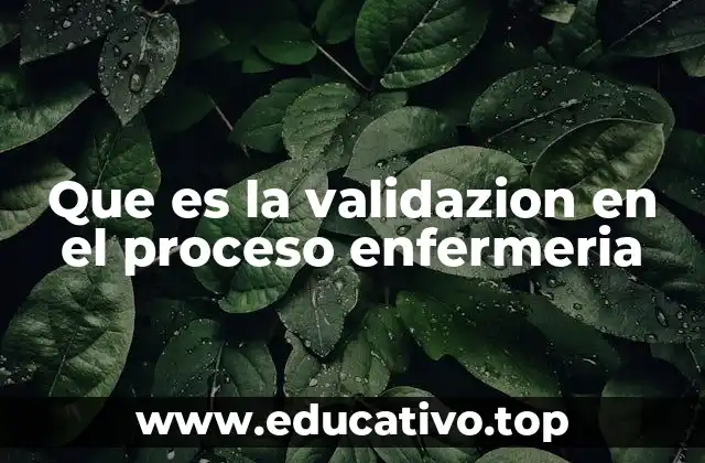 Que es la validazion en el proceso enfermeria