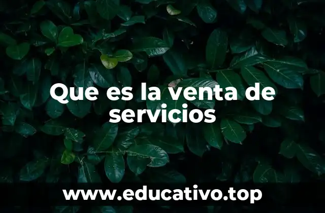 Que es la venta de servicios