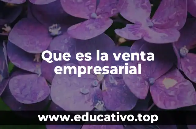 Que es la venta empresarial