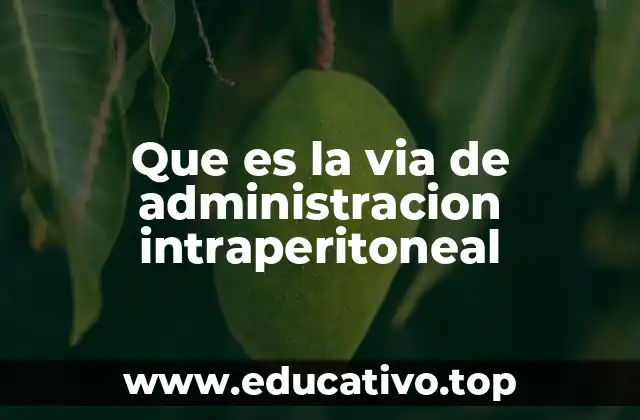 Que es la via de administracion intraperitoneal