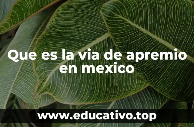 El rol del oficial de apremio en el proceso judicial