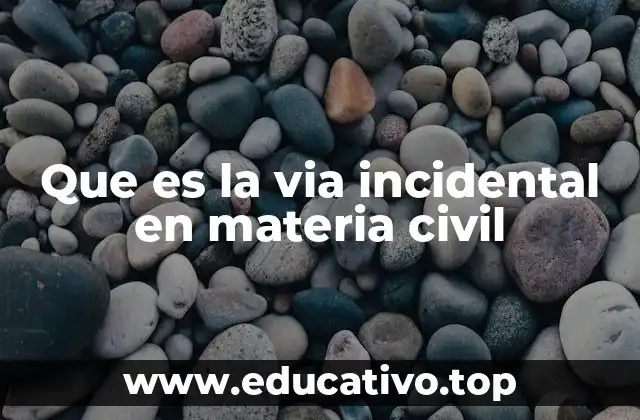Que es la via incidental en materia civil