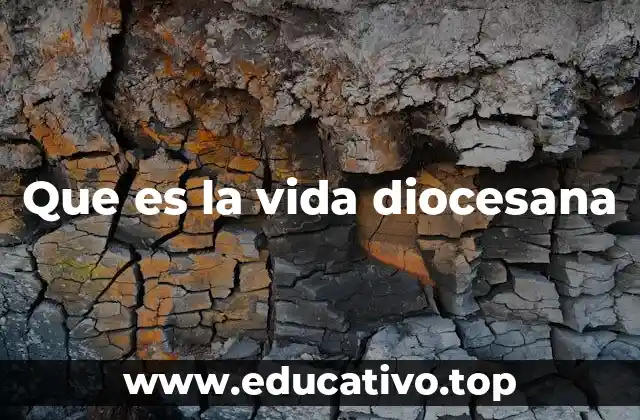 La vida diocesana como forma de compromiso cristiano