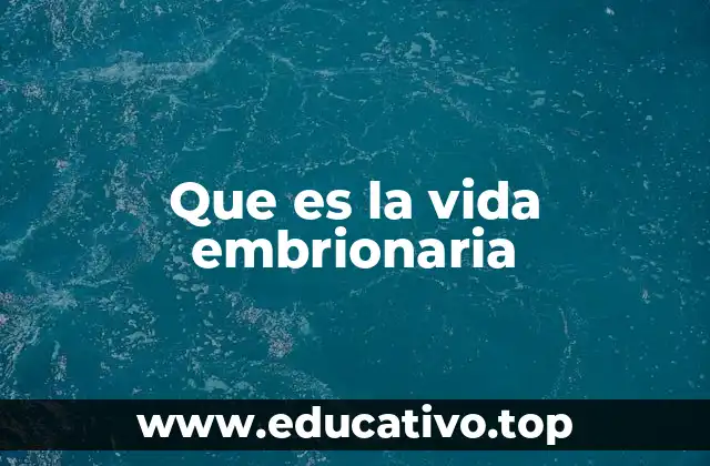 Que es la vida embrionaria