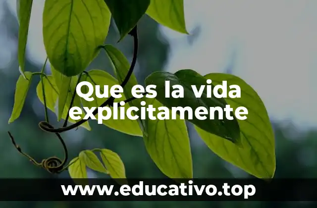 Que es la vida explicitamente