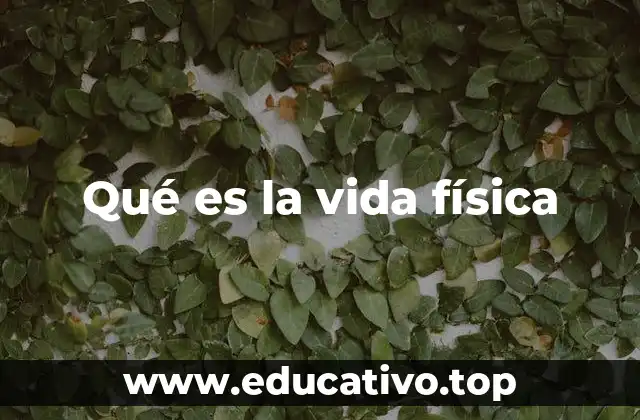 Qué es la vida física