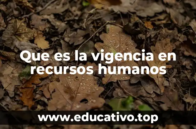 Que es la vigencia en recursos humanos